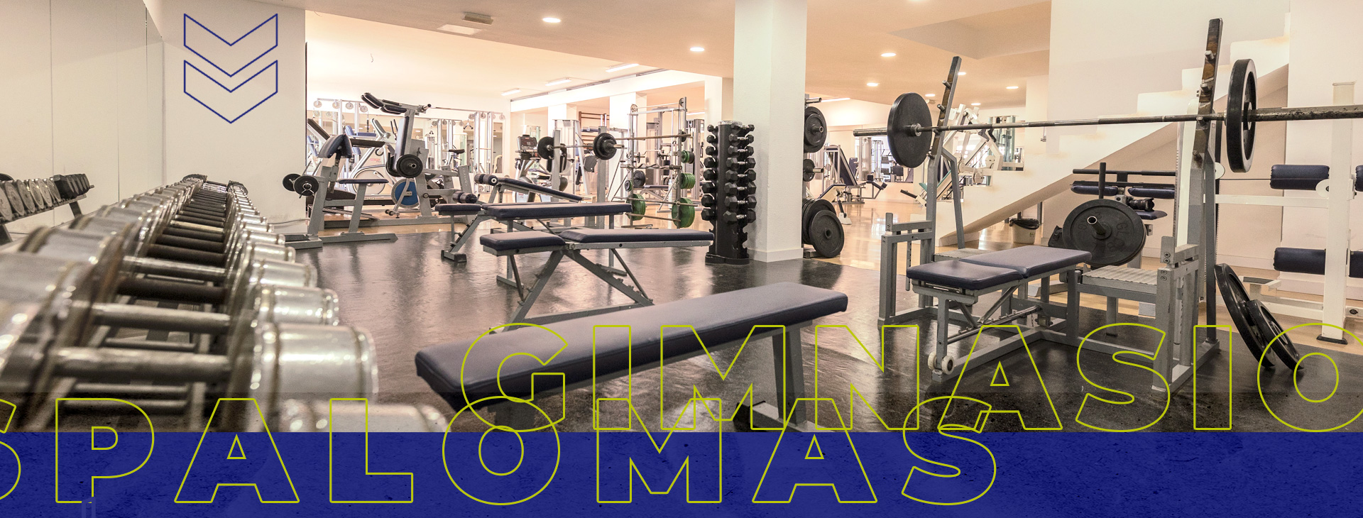 Banner-web-Maspalomas_gimnasio