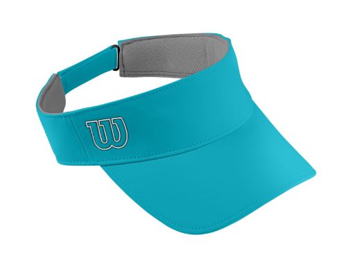 Visor